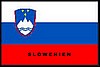 SLOWENISCHE_FLAGGE.JPG